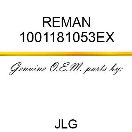 REMAN 1001181053EX