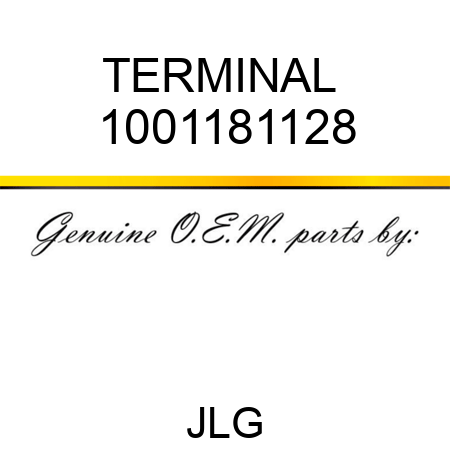 TERMINAL  1001181128