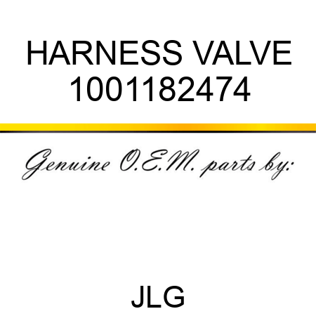 HARNESS VALVE 1001182474