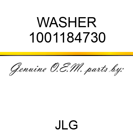 WASHER 1001184730