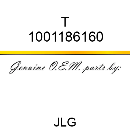 T 1001186160