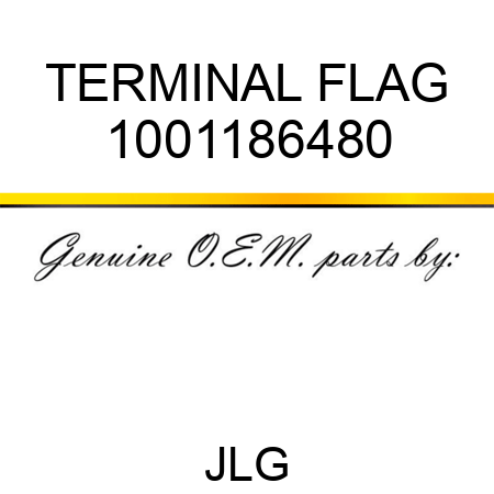 TERMINAL FLAG 1001186480