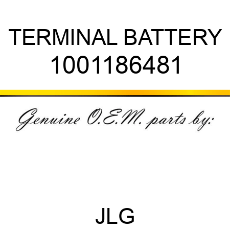 TERMINAL BATTERY 1001186481