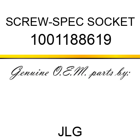 SCREW-SPEC SOCKET 1001188619