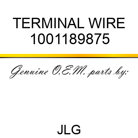 TERMINAL WIRE 1001189875