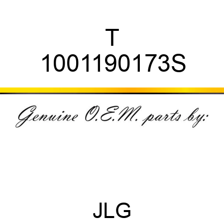 T 1001190173S