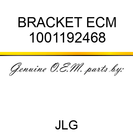 BRACKET ECM 1001192468