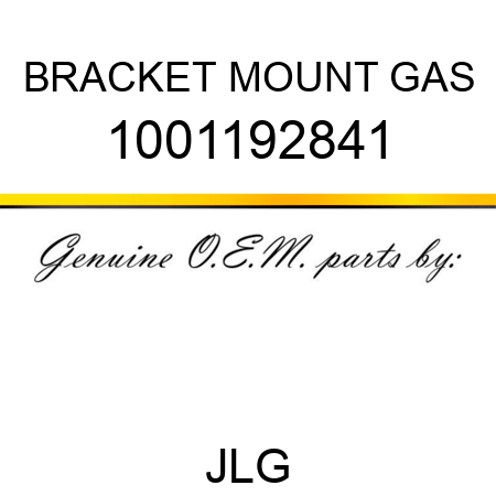 BRACKET MOUNT GAS 1001192841