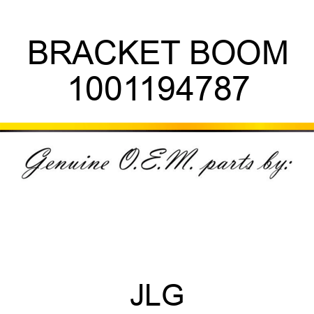 BRACKET BOOM 1001194787