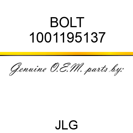 BOLT 1001195137
