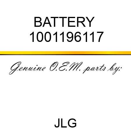 BATTERY  1001196117