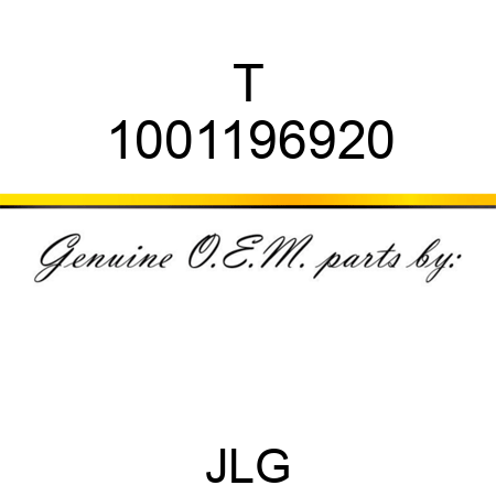 T 1001196920