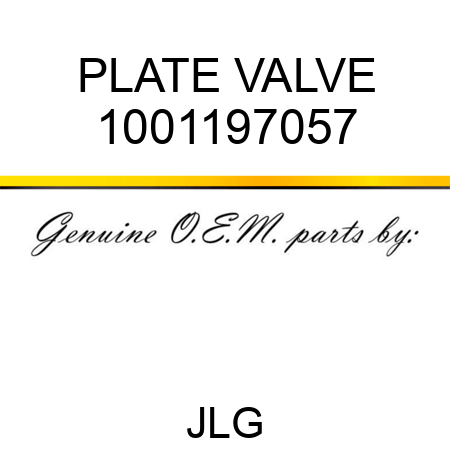 PLATE VALVE 1001197057
