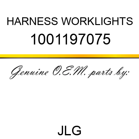 HARNESS WORKLIGHTS 1001197075
