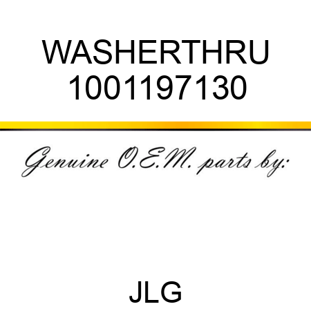 WASHERTHRU 1001197130