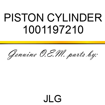 PISTON CYLINDER 1001197210