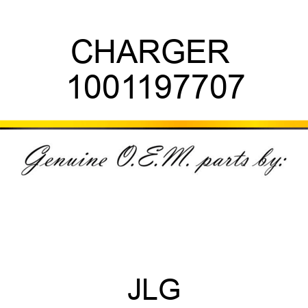CHARGER  1001197707