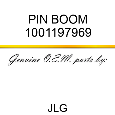PIN BOOM 1001197969