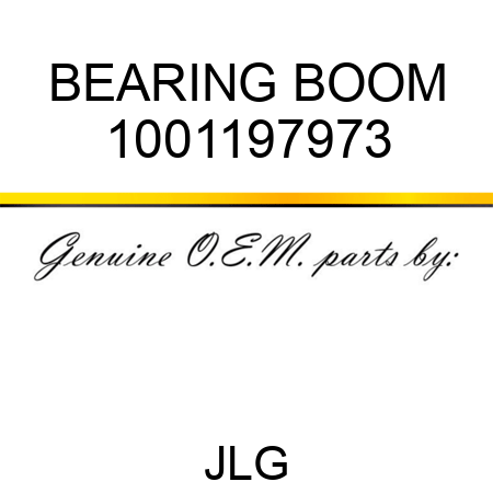 BEARING BOOM 1001197973