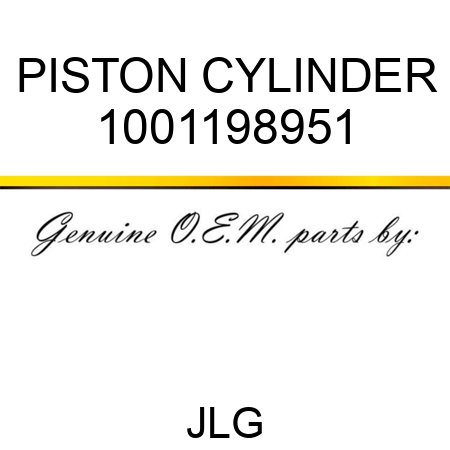 PISTON CYLINDER 1001198951