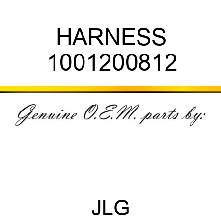 HARNESS 1001200812