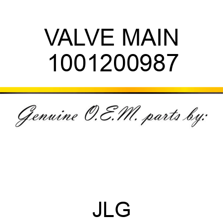 VALVE MAIN 1001200987