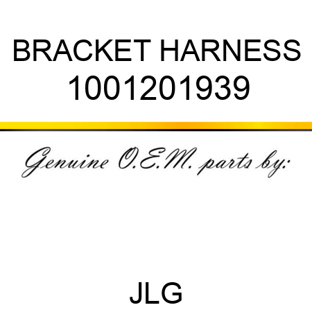 BRACKET HARNESS 1001201939