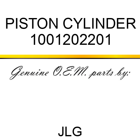 PISTON CYLINDER 1001202201