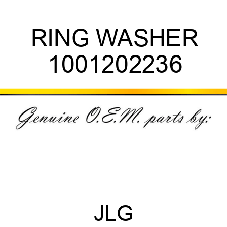 RING WASHER 1001202236