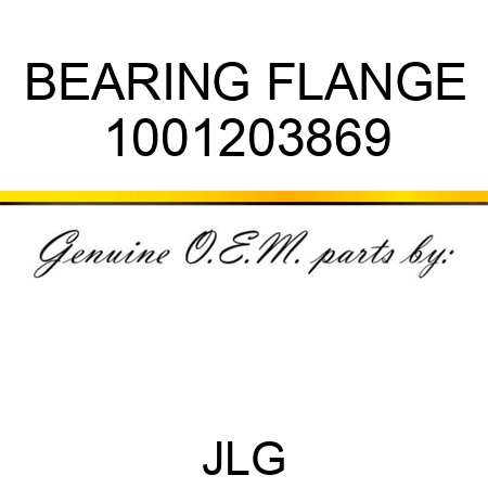 BEARING FLANGE 1001203869