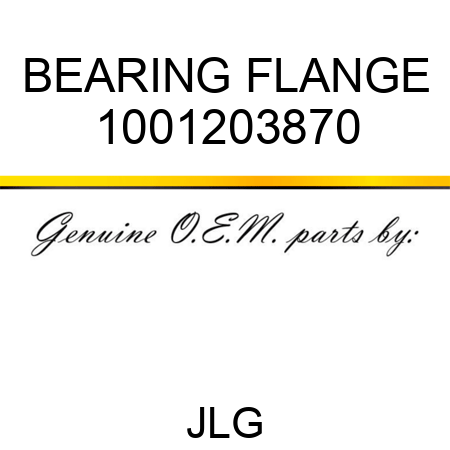 BEARING FLANGE 1001203870