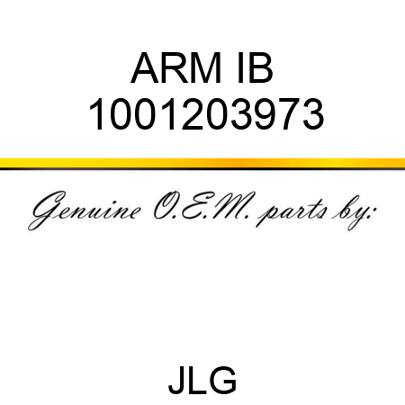 ARM IB 1001203973