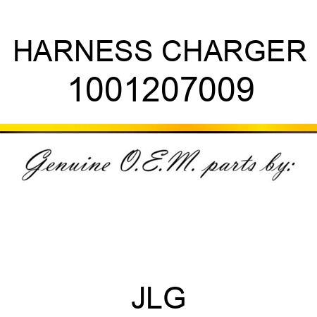 HARNESS CHARGER 1001207009