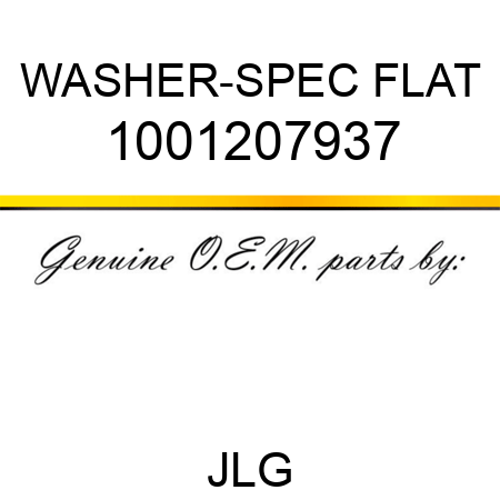 WASHER-SPEC FLAT 1001207937