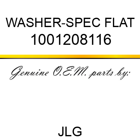 WASHER-SPEC FLAT 1001208116