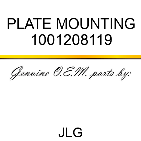 PLATE MOUNTING 1001208119