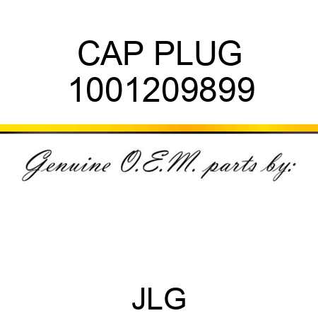 CAP PLUG 1001209899
