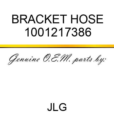 BRACKET HOSE 1001217386