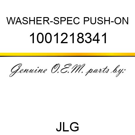 WASHER-SPEC PUSH-ON 1001218341