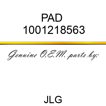 PAD  1001218563