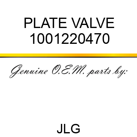 PLATE VALVE 1001220470