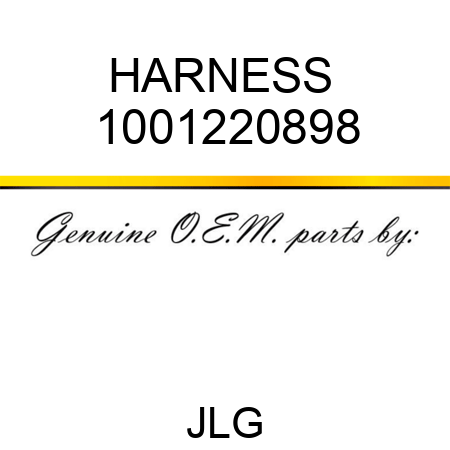 HARNESS  1001220898