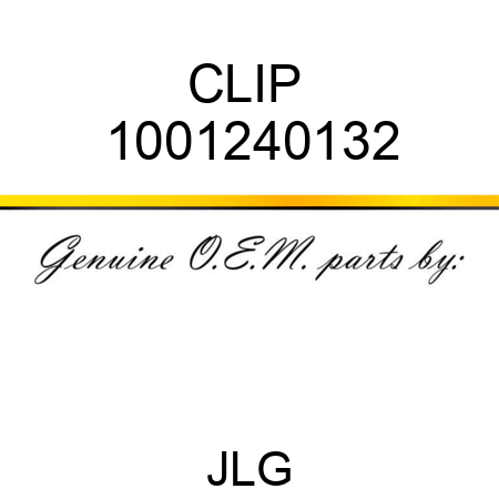CLIP  1001240132