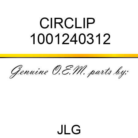 CIRCLIP  1001240312