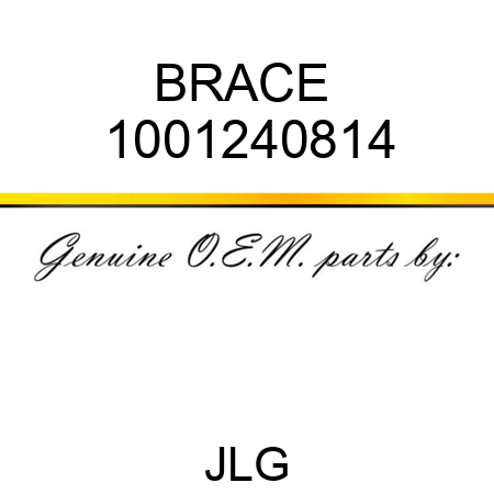 BRACE  1001240814