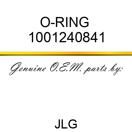 O-RING  1001240841
