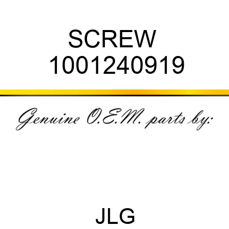 SCREW  1001240919