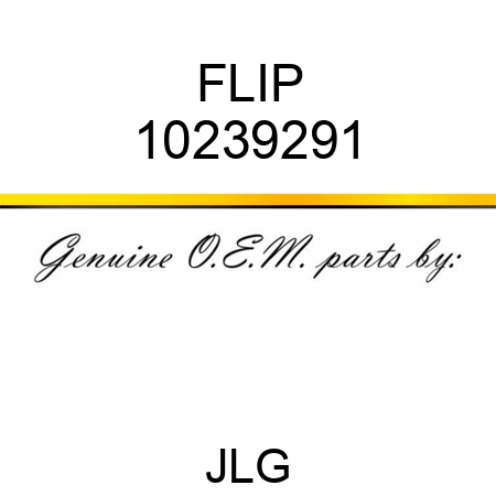 FLIP 10239291