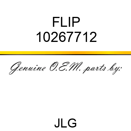 FLIP 10267712