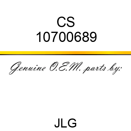 CS 10700689